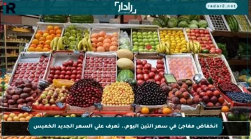 انخفاض مفاجئ في سعر التين اليوم.. تعرف على السعر الجديد الخميس